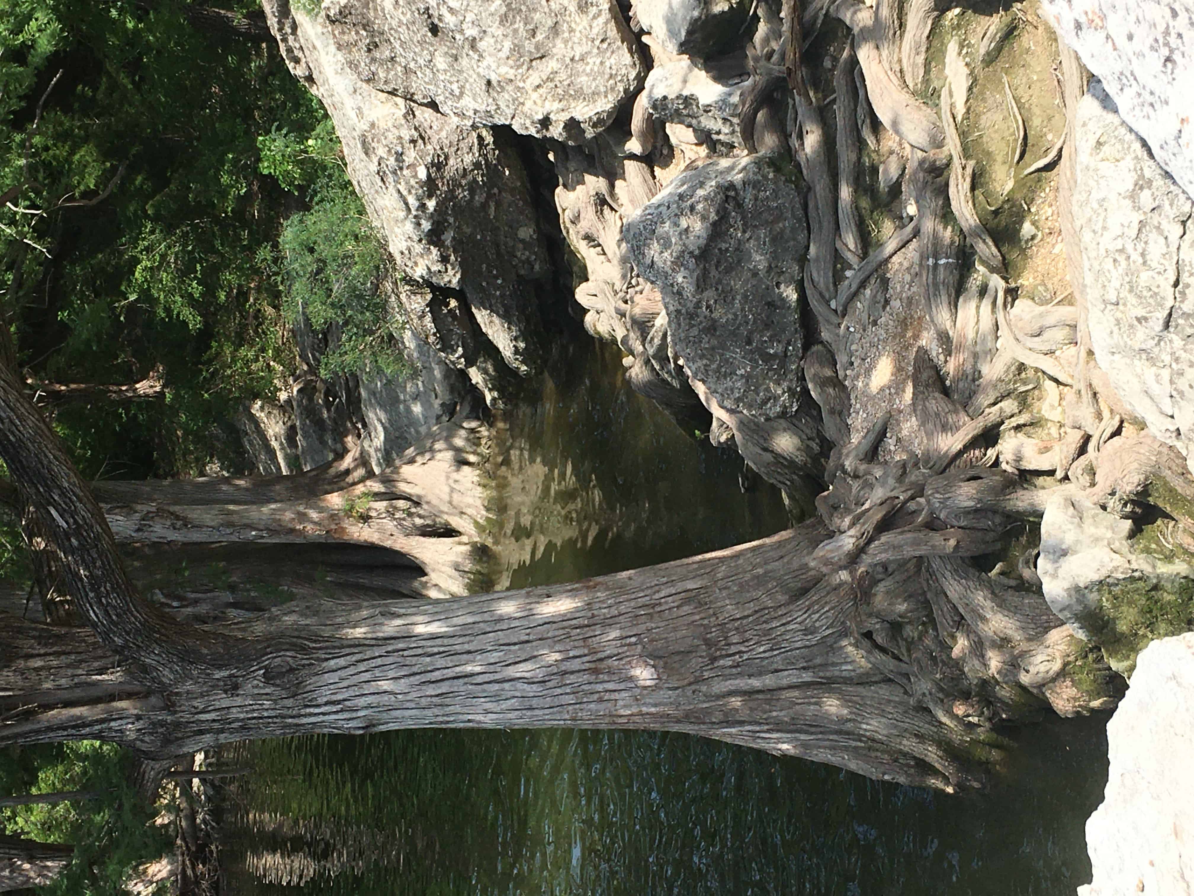 McKinney Falls State Park
