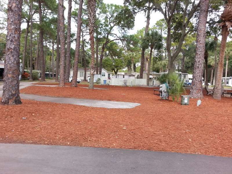 Oak Springs Travel Park