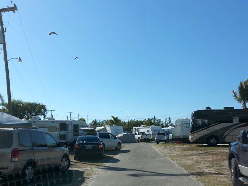 Oyster Bay Senior Adult RV Park