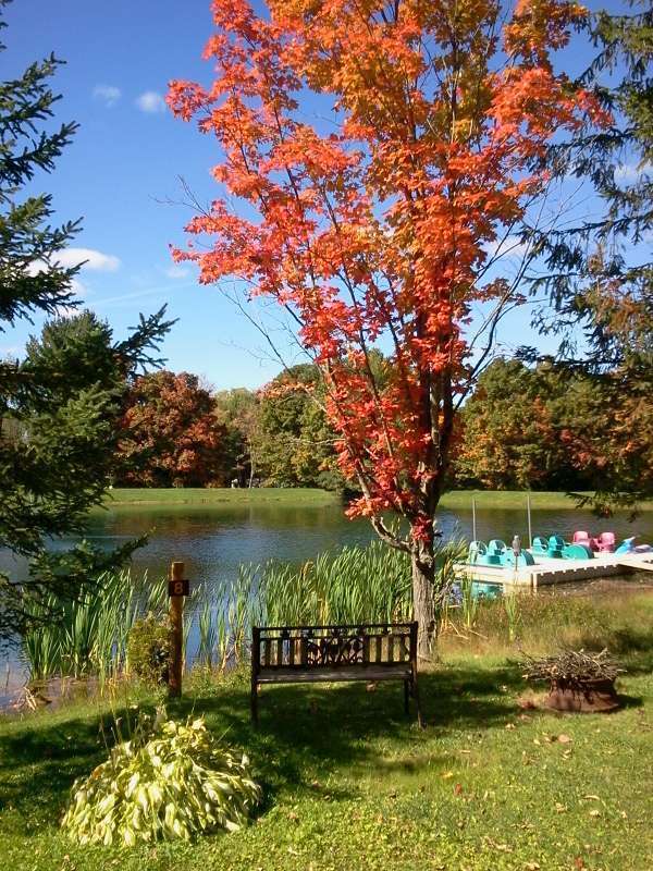 Cooperstown Shadow Brook Campground