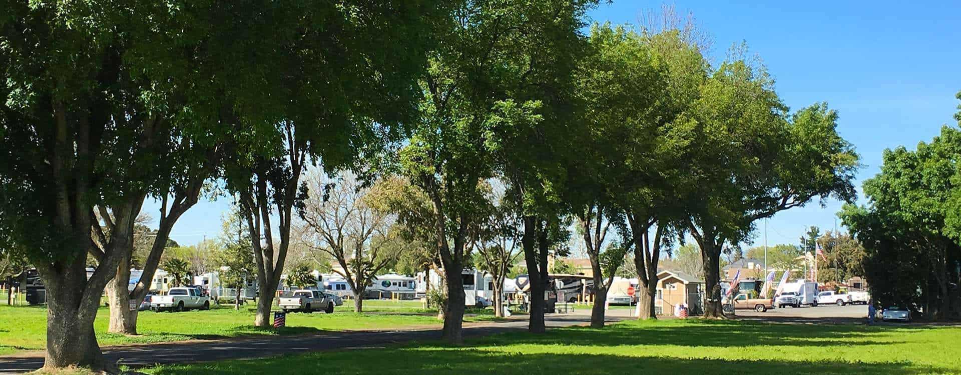 The Fairpark RV Park at Alameda County Fairgrounds