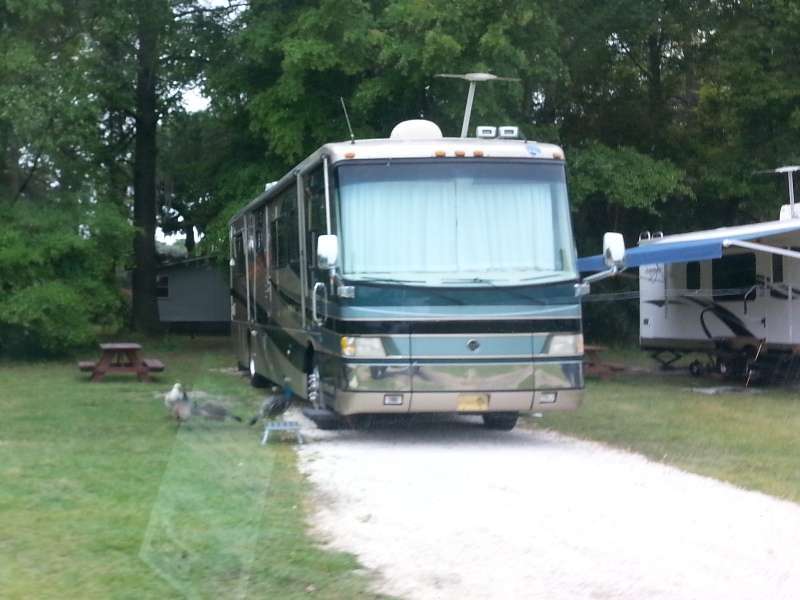 Red Gate Farms - RV Resort