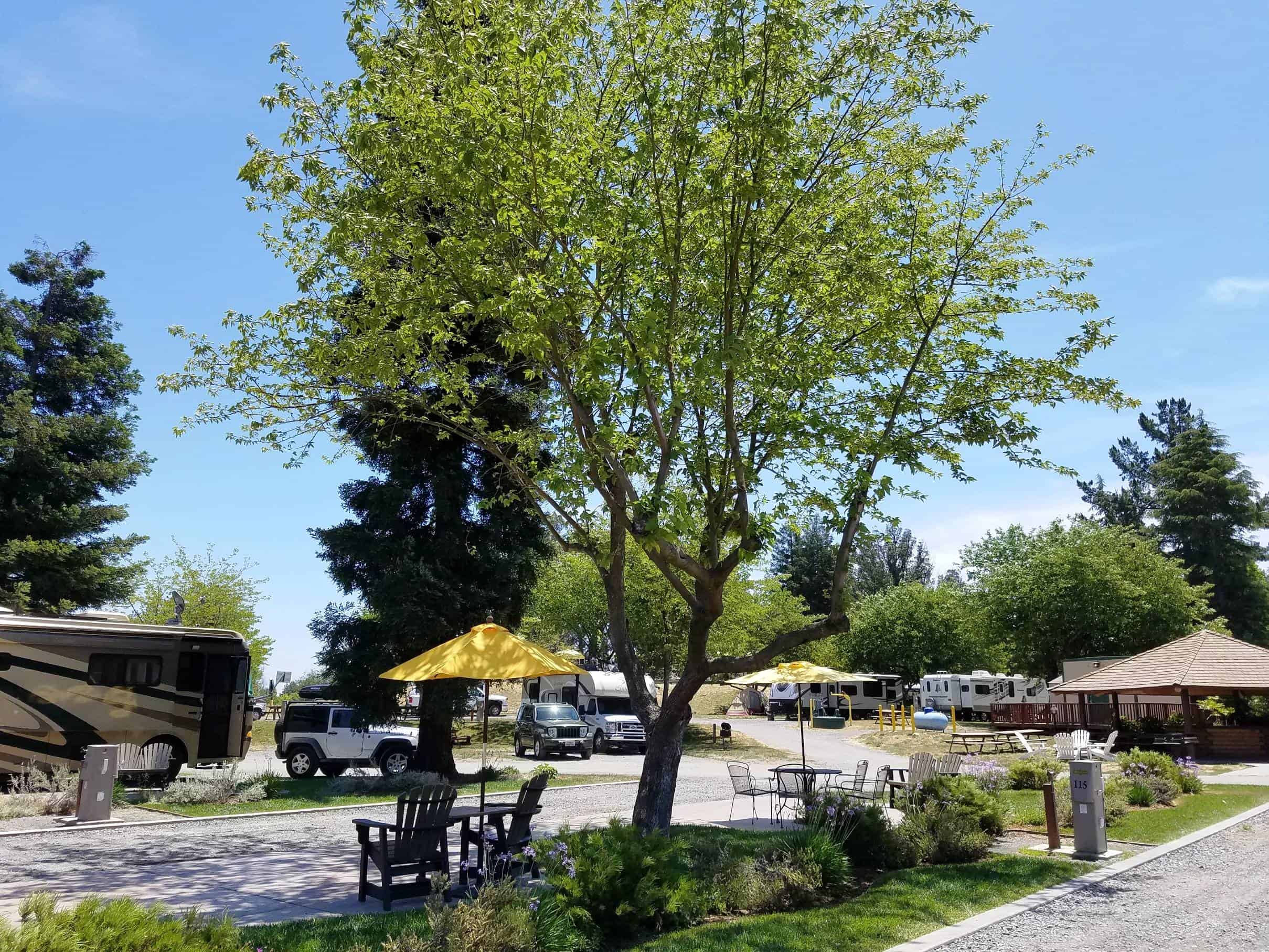 San Francisco North Petaluma KOA