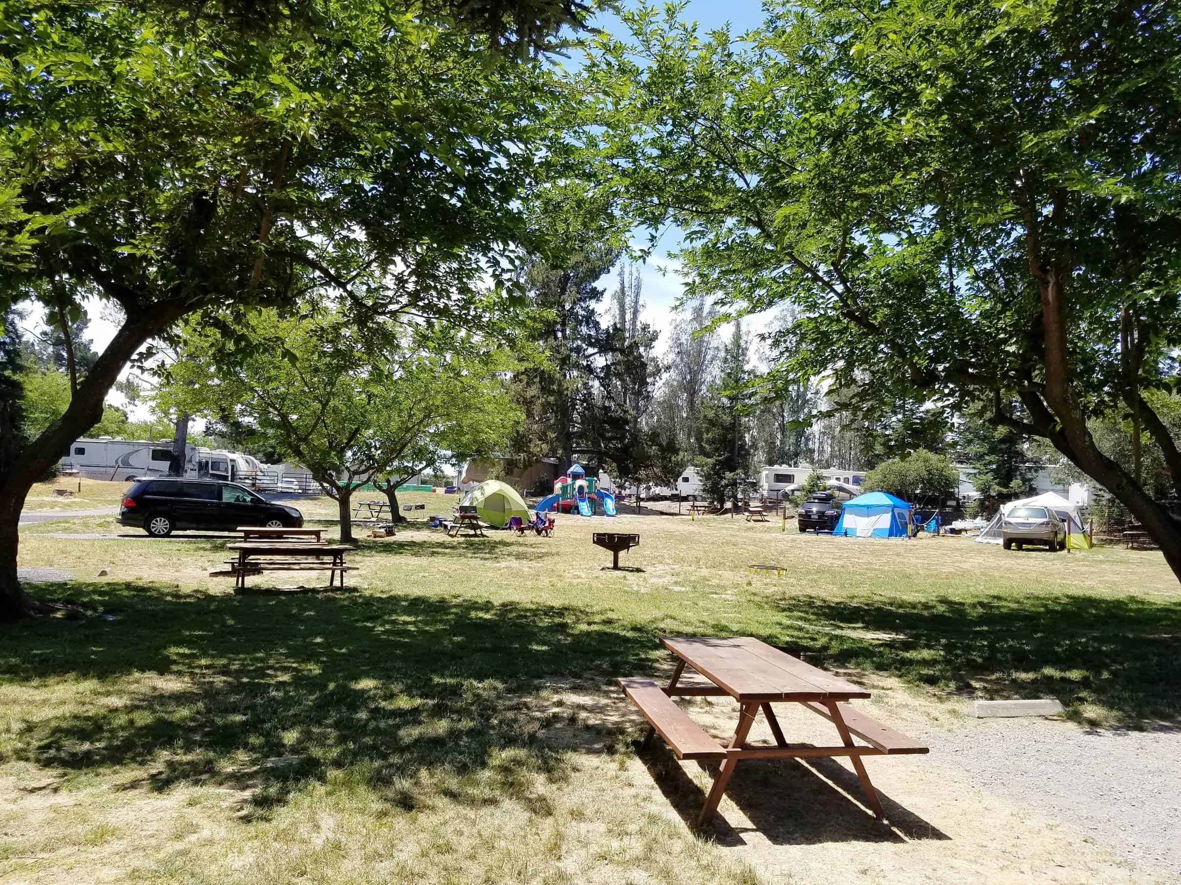 San Francisco North Petaluma KOA