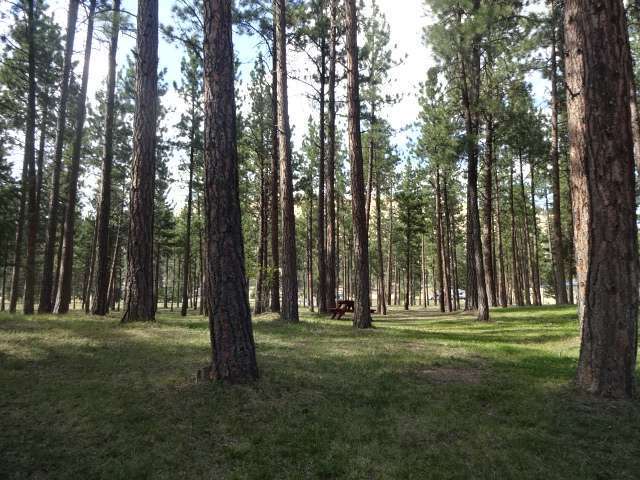 Square Dance Center & Campground