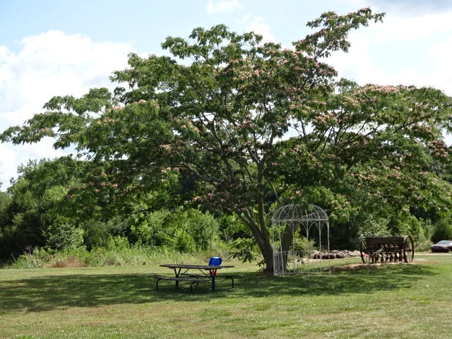 Yates Family Camping
