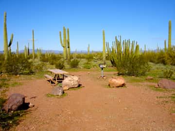 Alamo Canyon Campground