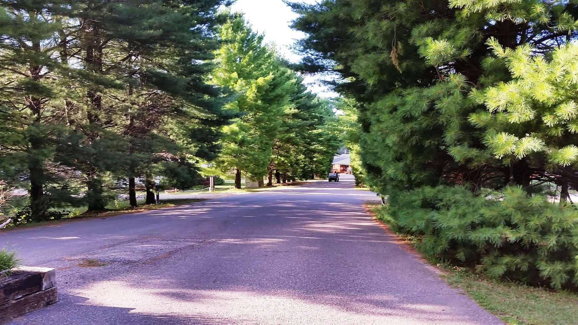 Arrowhead Resort Campground