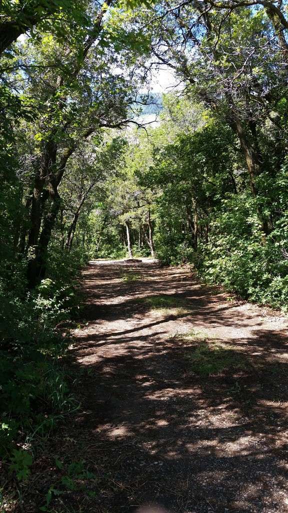 North Fork Park Campground