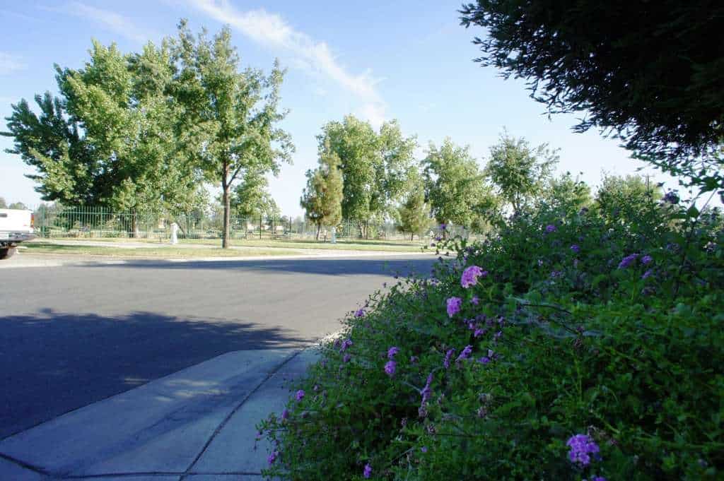 Bakersfield River Run RV Park