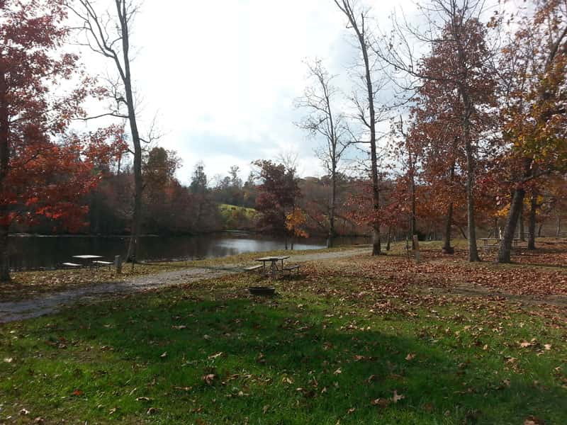 Ballyhoo Family Campground