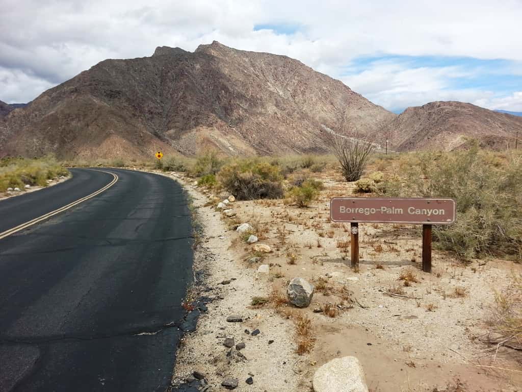 Borrego Palm Canyon Campground