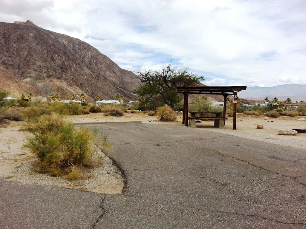 Borrego Palm Canyon Campground