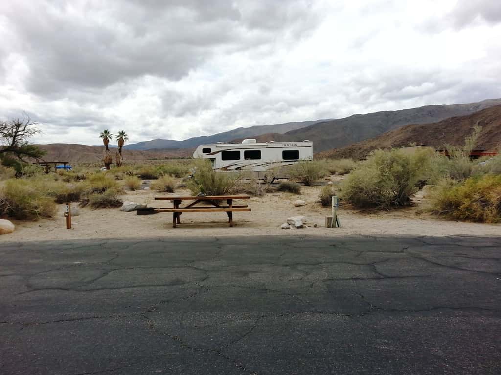 Borrego Palm Canyon Campground