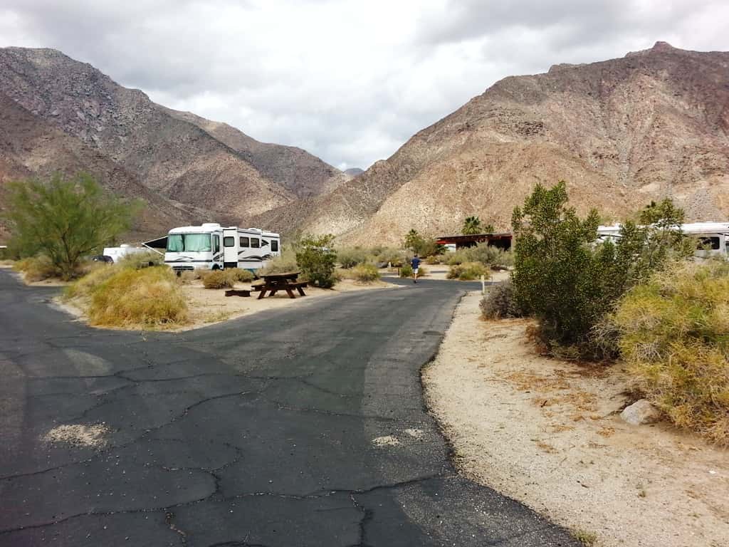 Borrego Palm Canyon Campground
