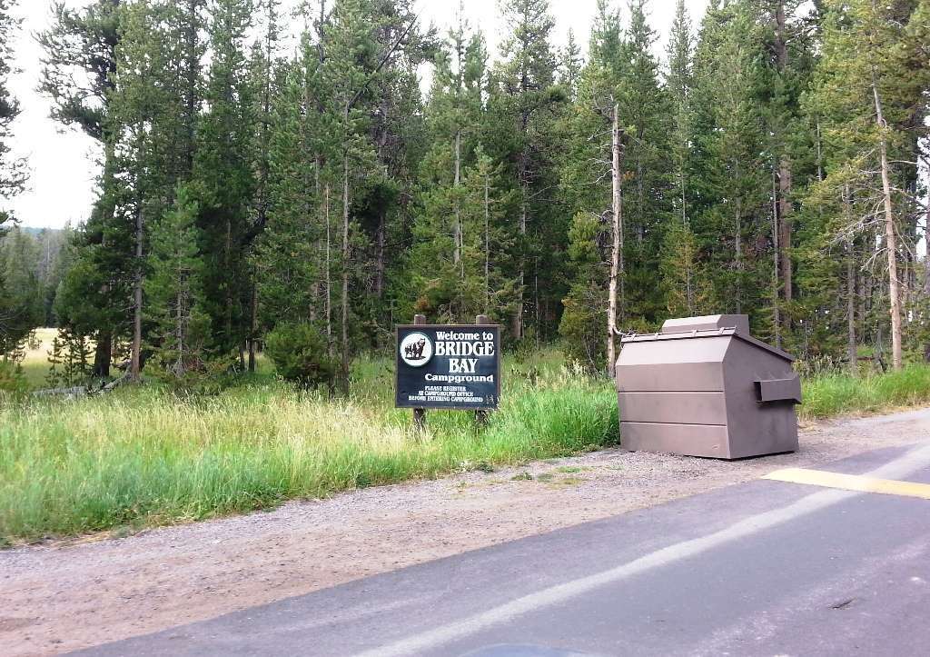 Bridge Bay Campground