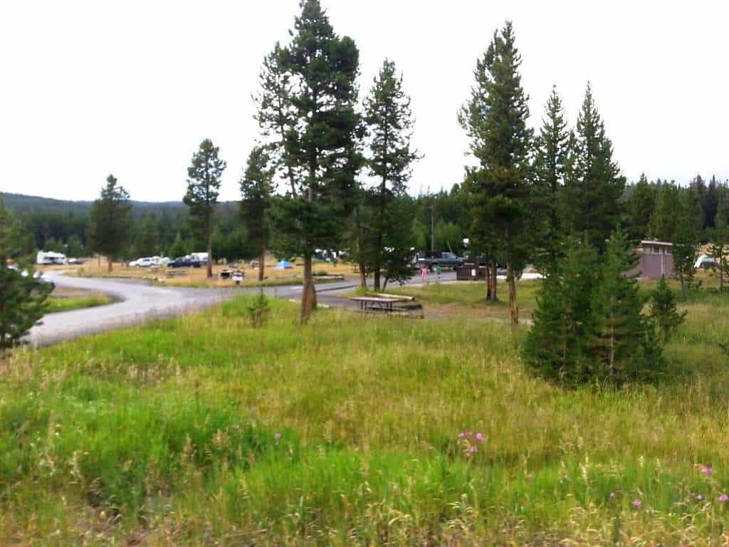 Bridge Bay Campground