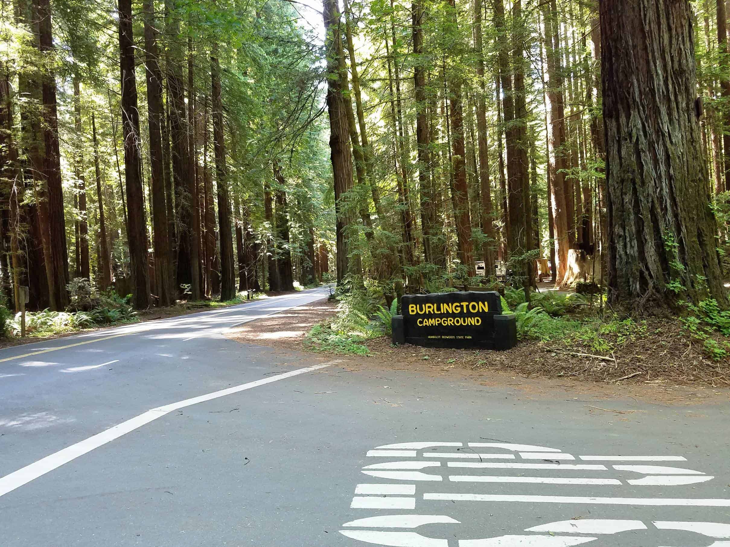 Burlington Campground - Humboldt Redwoods State Park