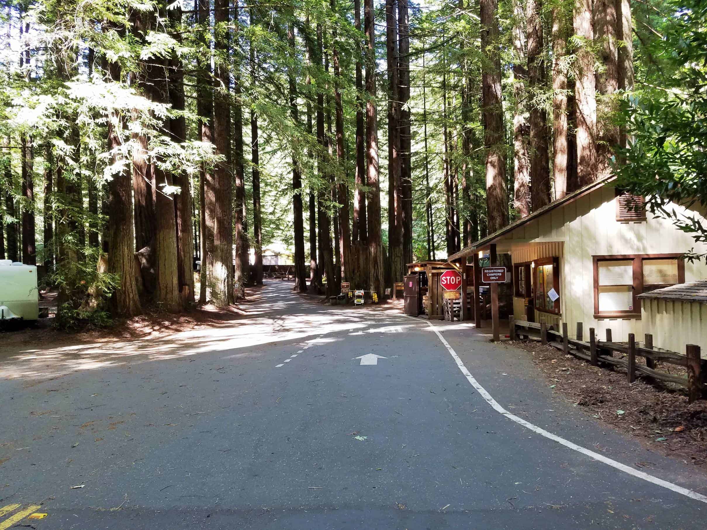 Burlington Campground - Humboldt Redwoods State Park