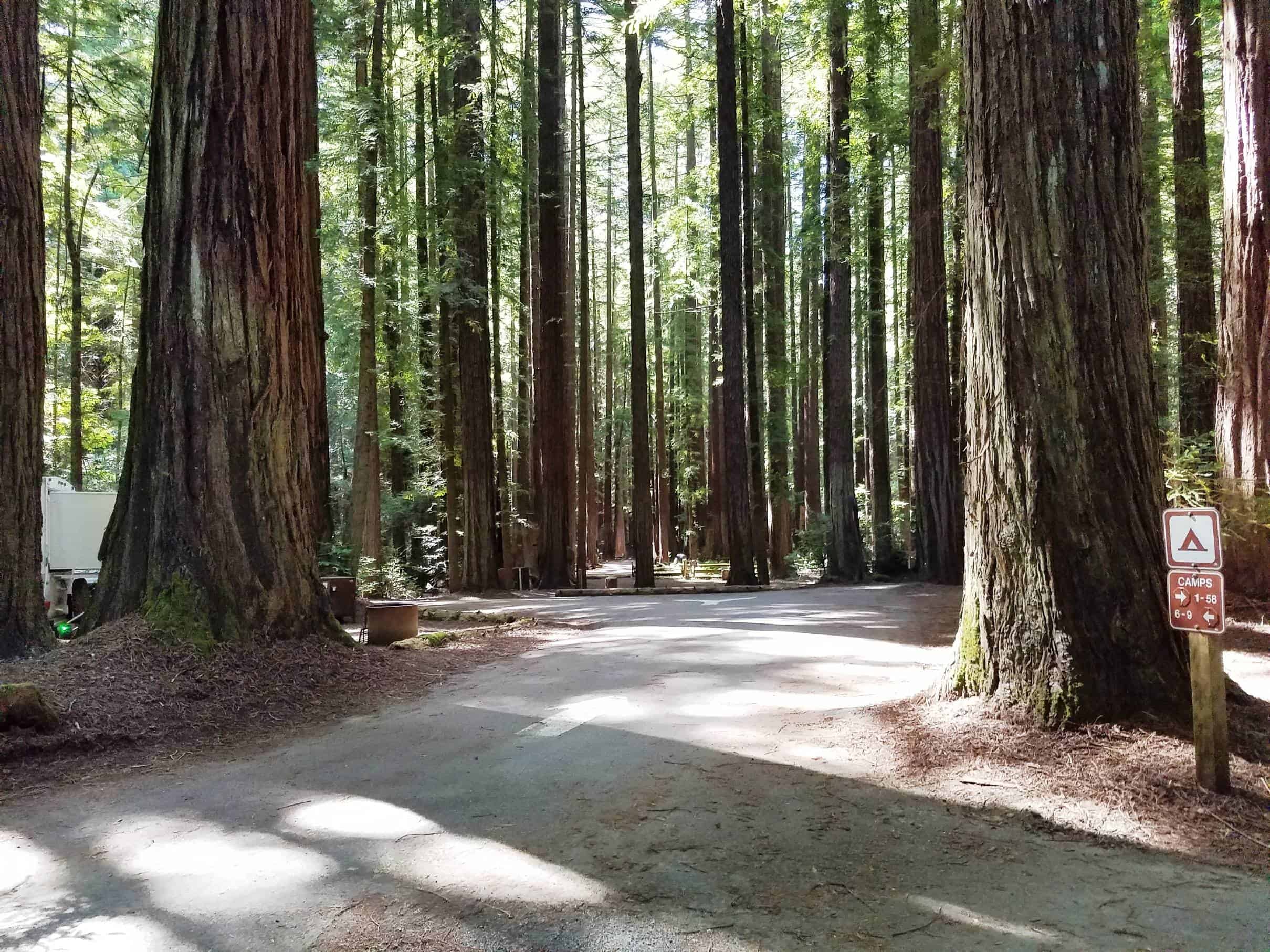 Burlington Campground - Humboldt Redwoods State Park