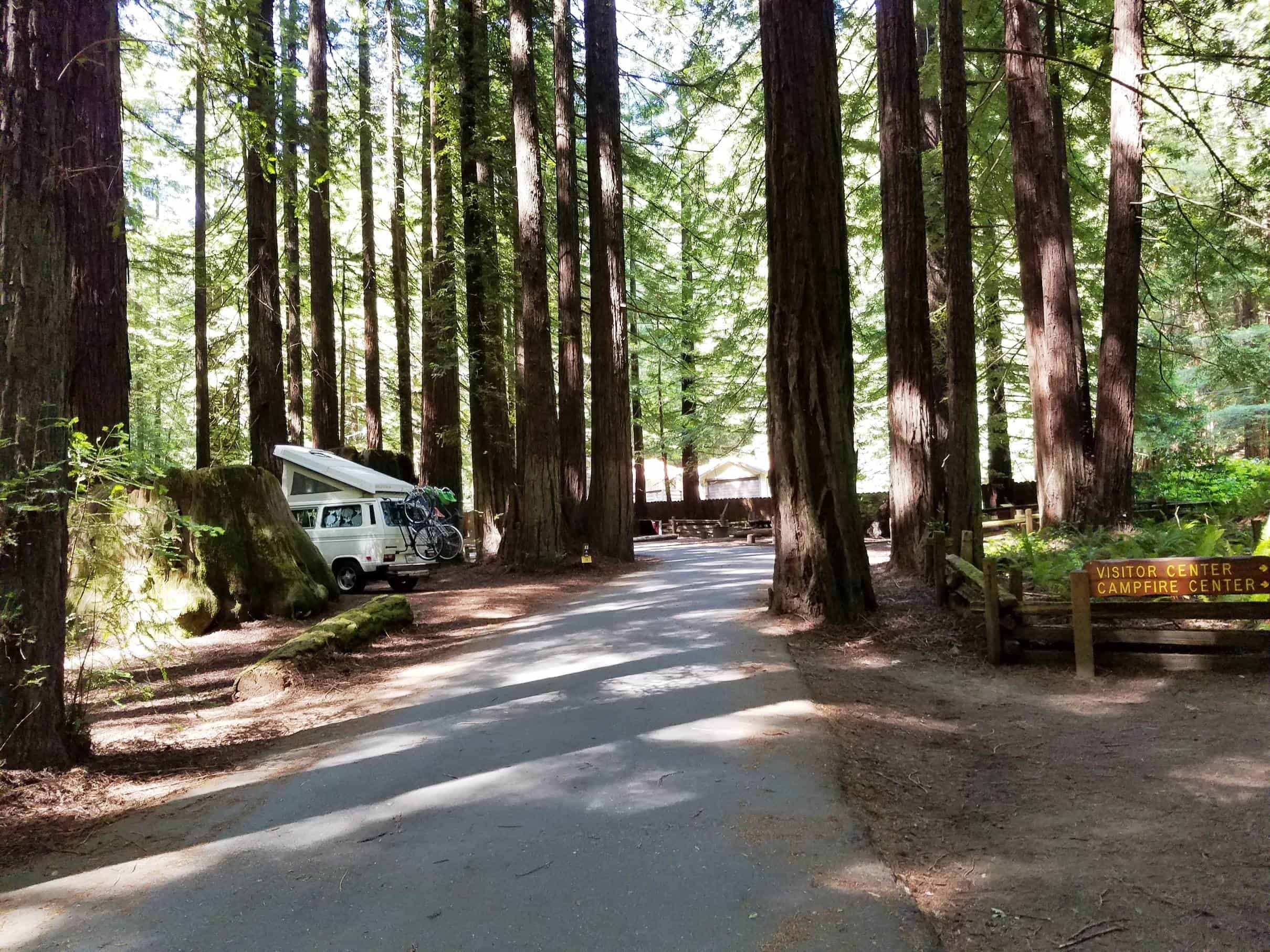 Burlington Campground - Humboldt Redwoods State Park
