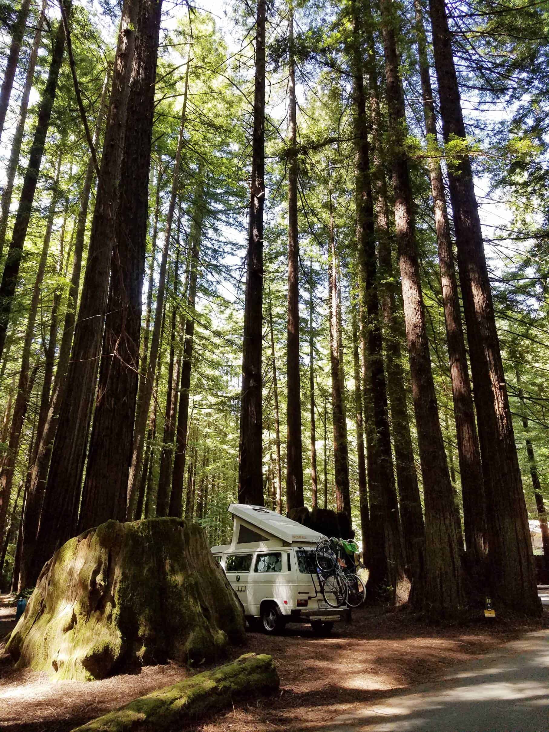 Burlington Campground - Humboldt Redwoods State Park
