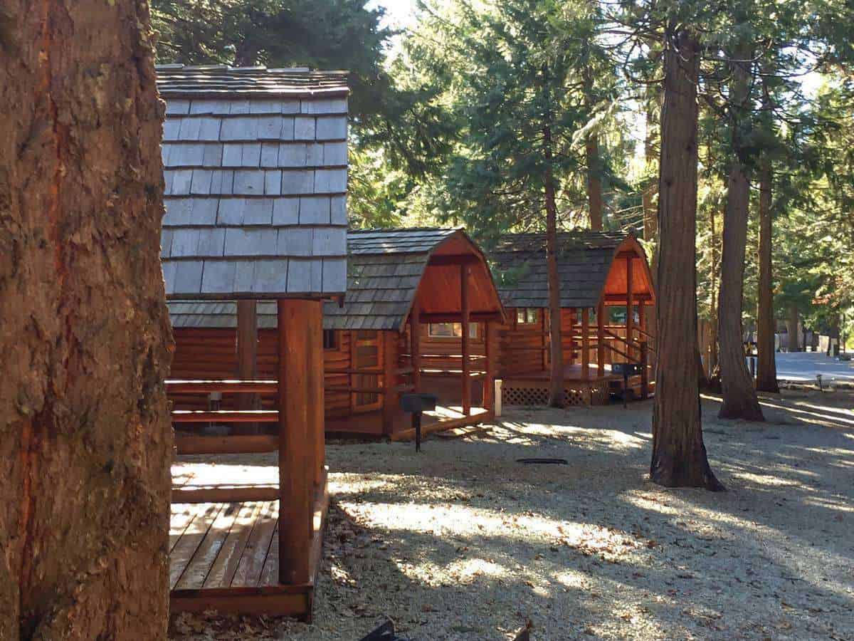 Mt Lassen Shingletown KOA