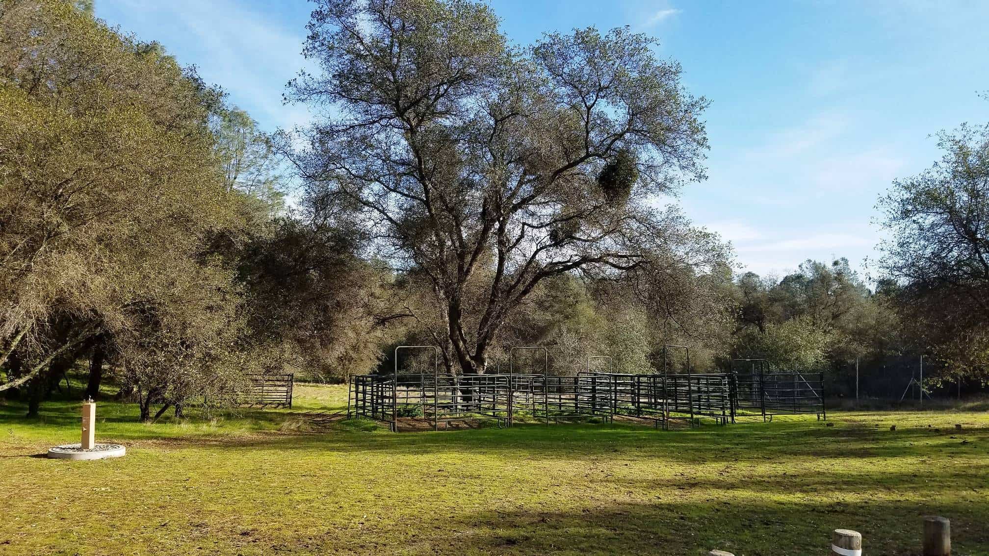 Lake Camanche Recreation Area Campgrounds and RV Parks