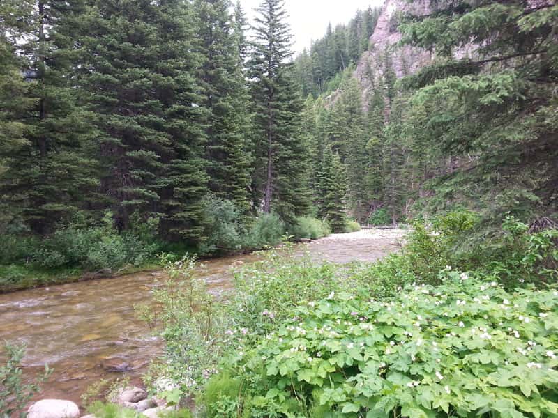 Campfire Lodge Resort