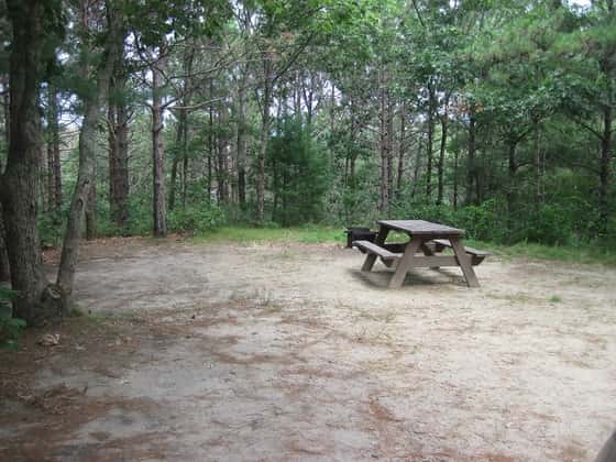 Shawme-Crowell State Forest