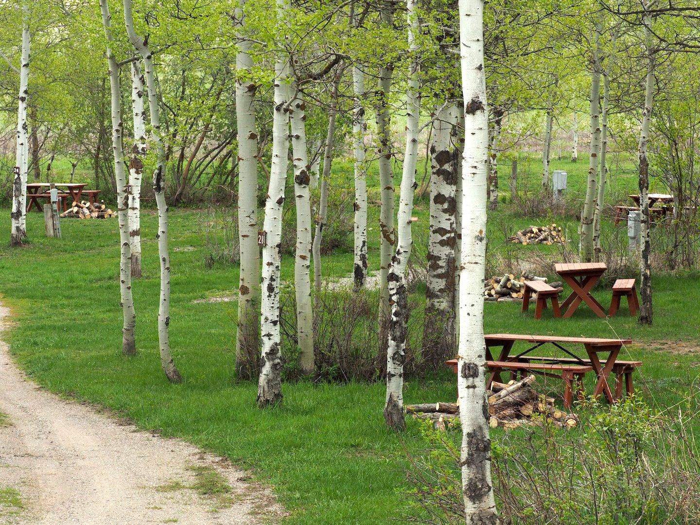 Yellowstone Golf Resort at Aspen Acres RV Park