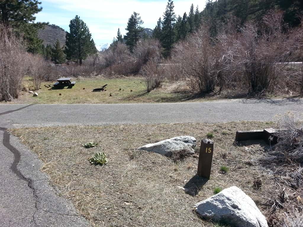 Chris Flat Campground