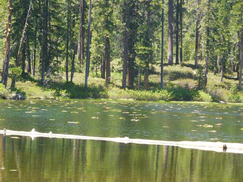 Coffee Creek Campground and RV