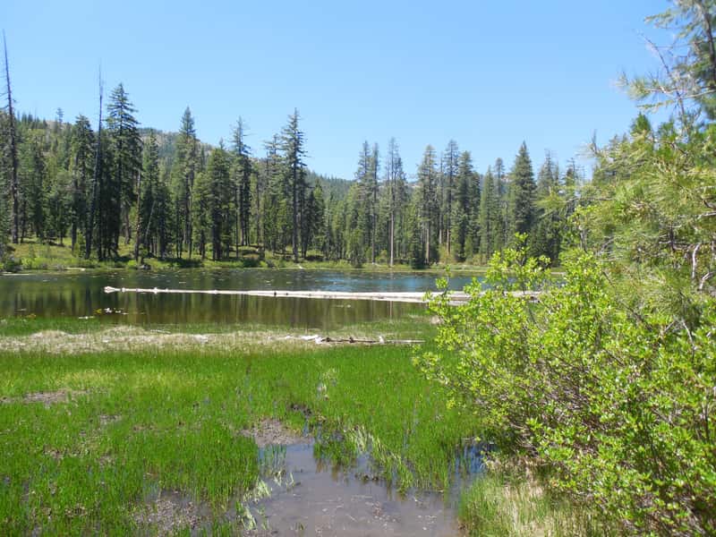 Coffee Creek Campground and RV