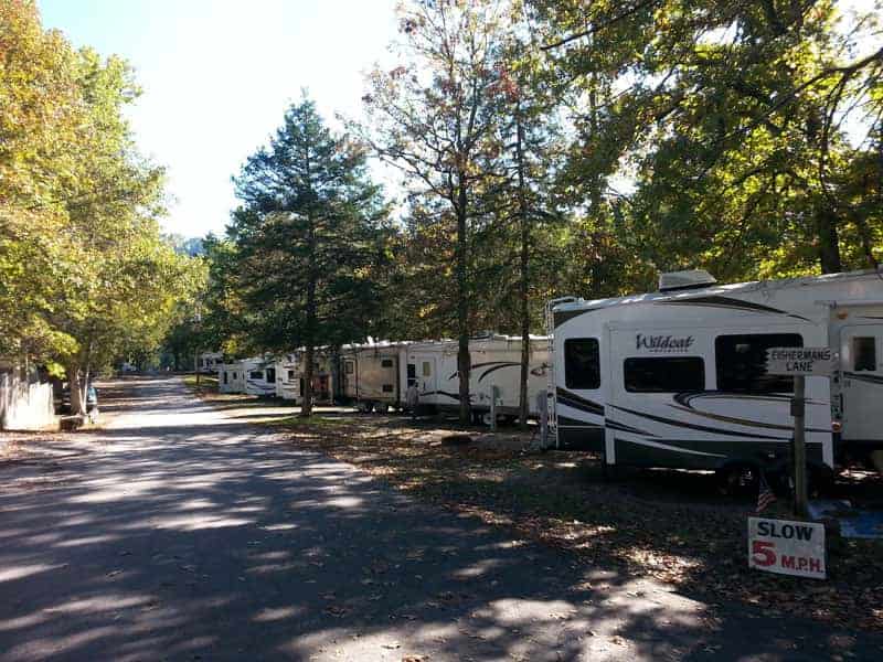 Cooper Creek Campground