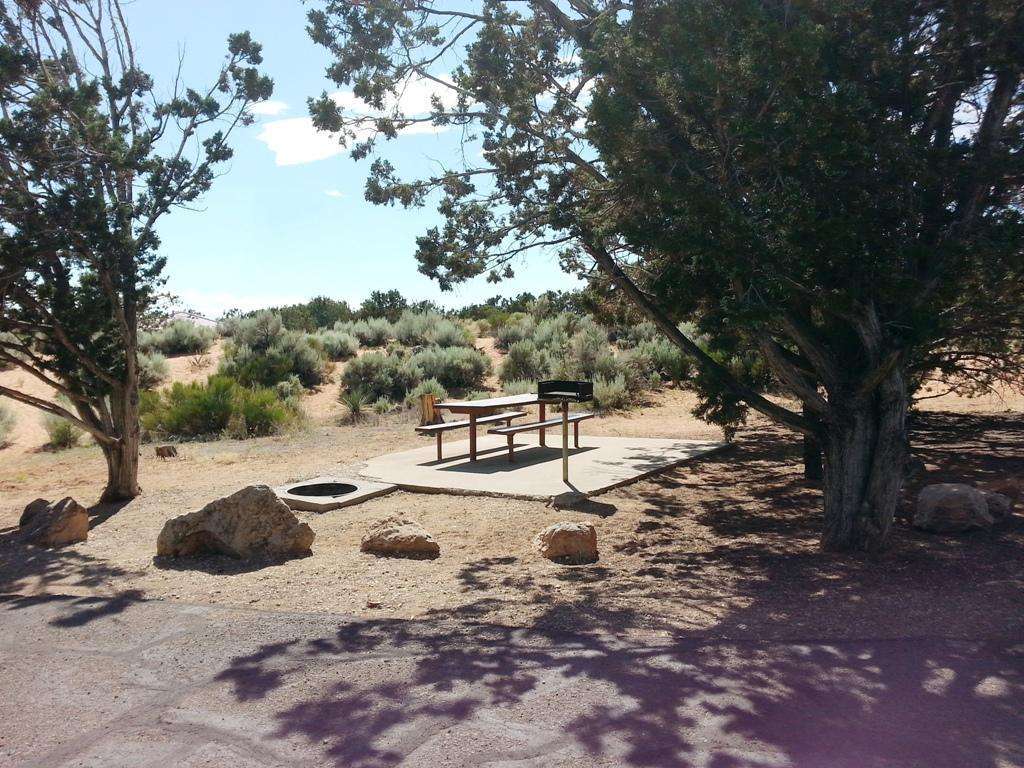 Coral Pink Sand Dunes State Park Campground