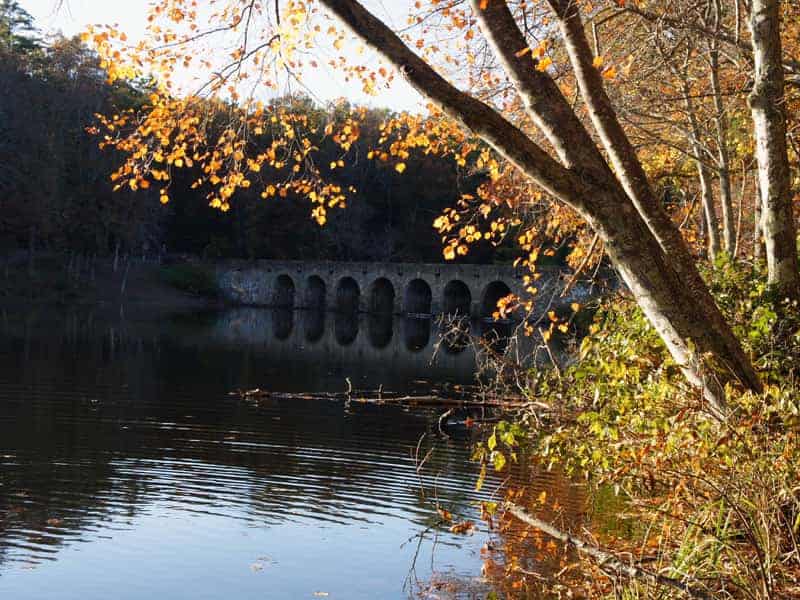 Cumberland Mountain State Park Campground