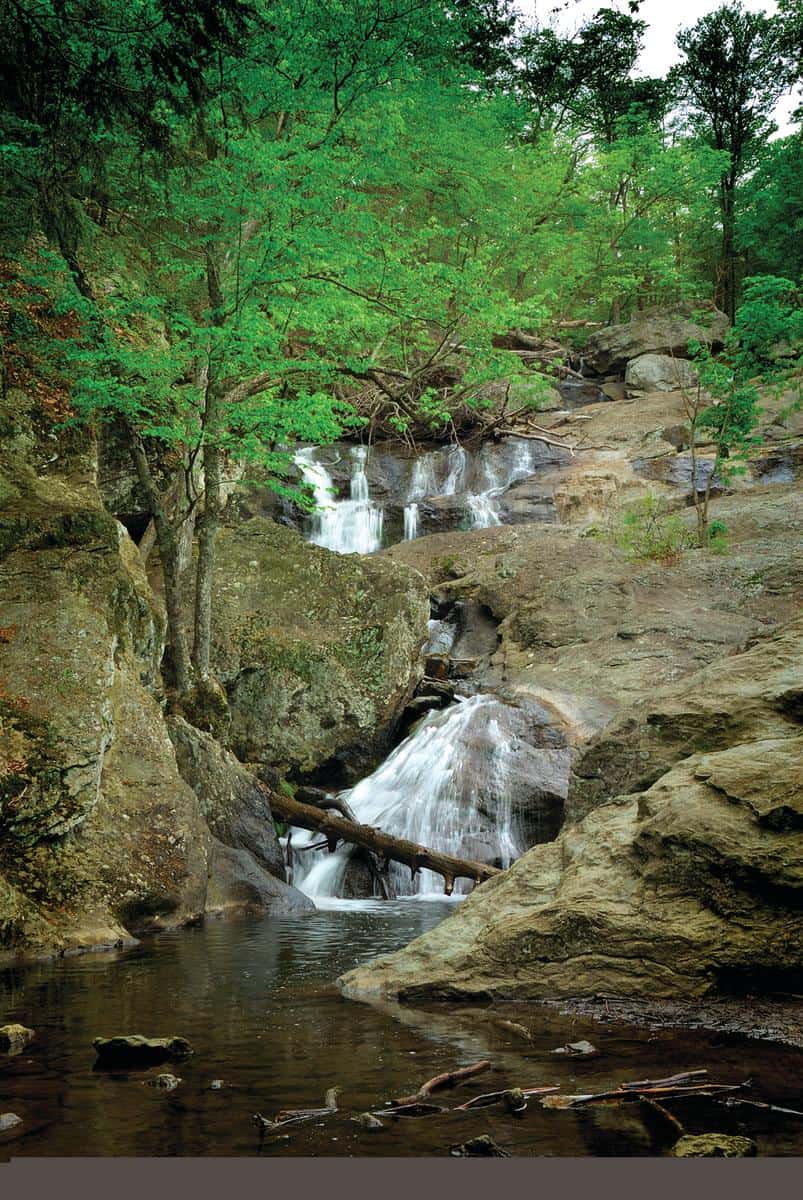 Cunningham Falls State Park - Manor Area
