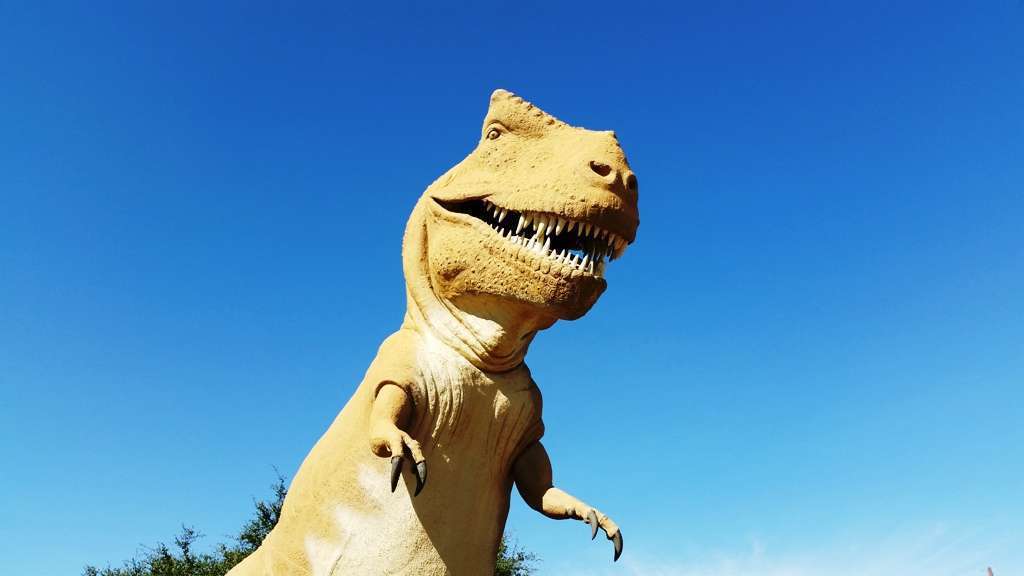 Dinosaur Valley State Park Campground