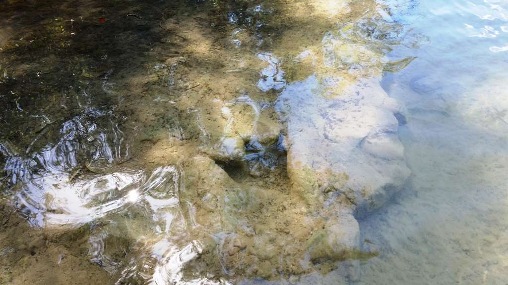 Dinosaur Valley State Park Campground