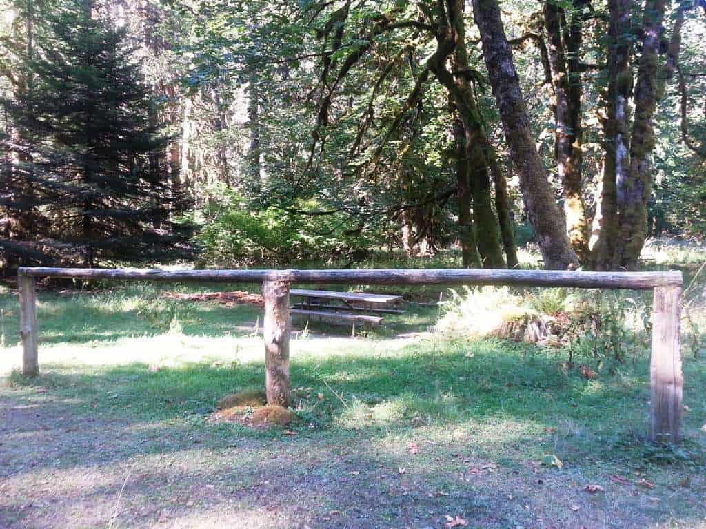 Dosewallips Campground