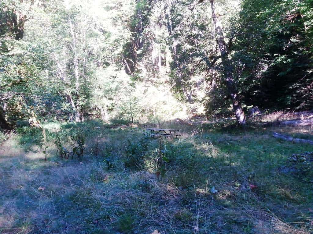 Dosewallips Campground