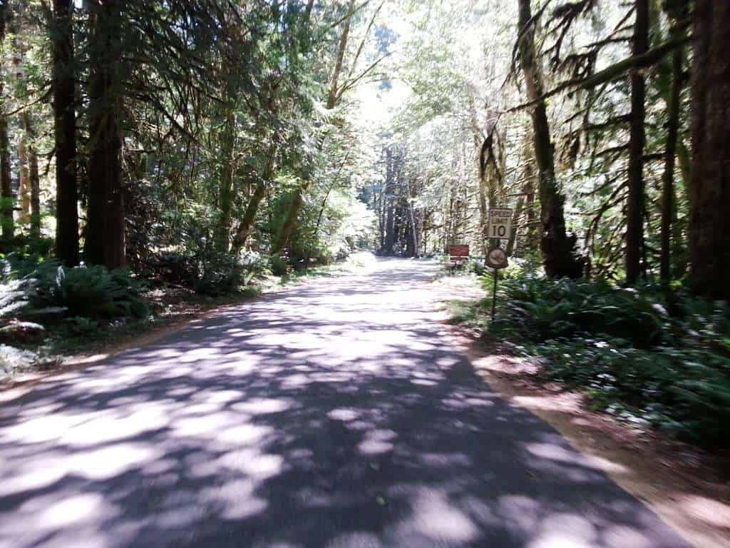 Fairholme Campground