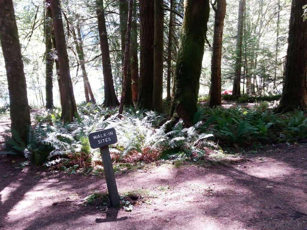 Fairholme Campground