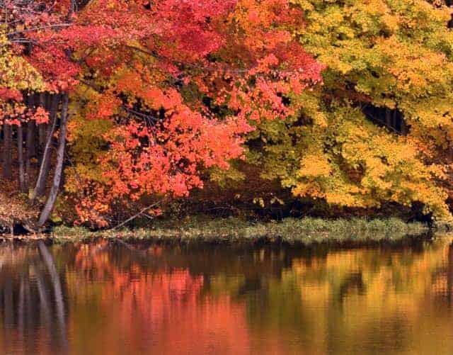 Taylor's Beach Campground