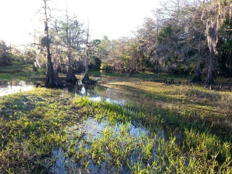 Fisheating Creek Resort RV Park and Campground