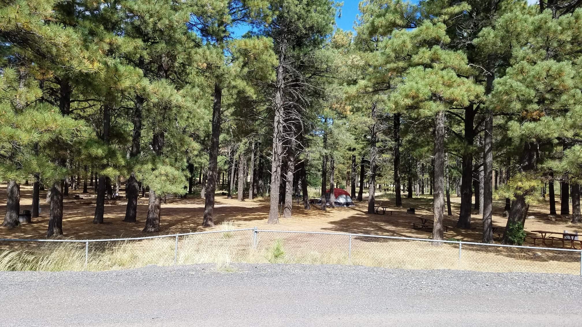 Fort Tuthill County Park Campground