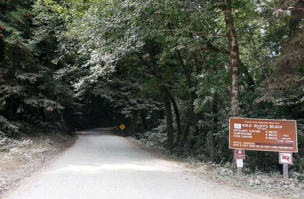 Gold Bluffs Beach Campground Prairie Creek Redwoods State Park