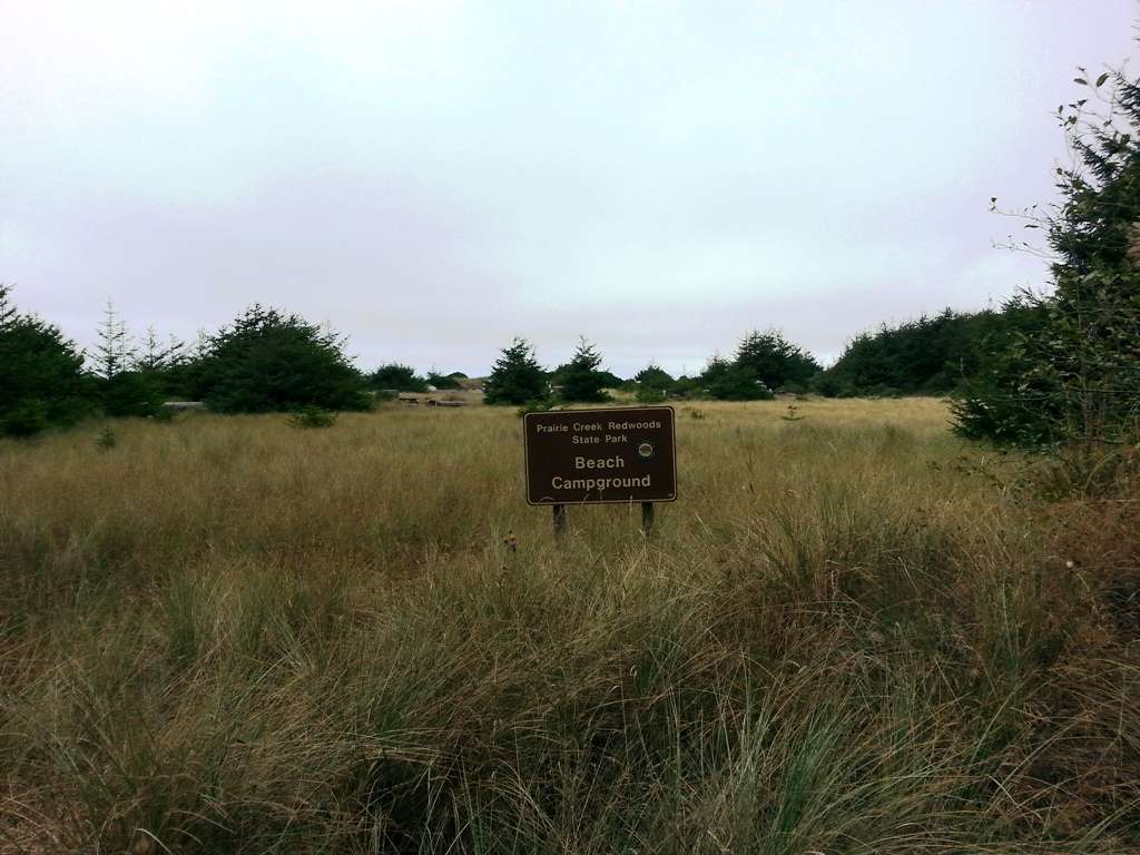 Gold Bluffs Beach Campground Prairie Creek Redwoods State Park