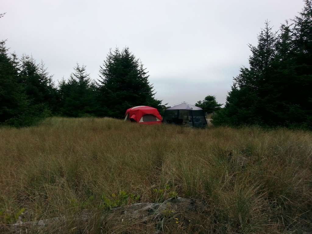Gold Bluffs Beach Campground Prairie Creek Redwoods State Park